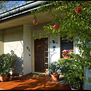 B&B Oasi di Venezia